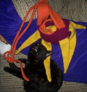 Anna's Tentacle Bag on CoA with Kestra.jpg