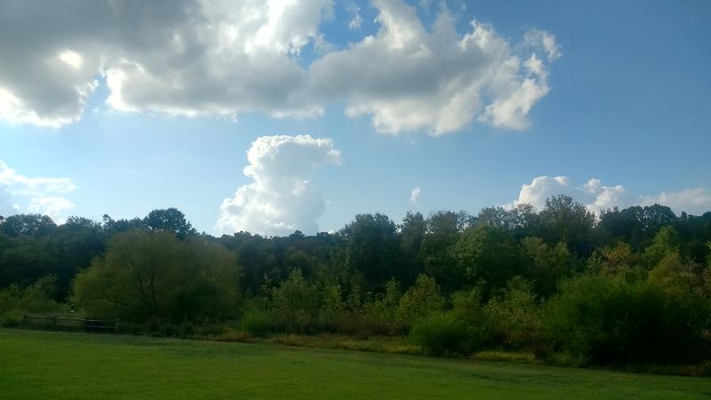 IMG 20170918 165017360 HDR.Sandy Creek Park field with trees.adj.jpg