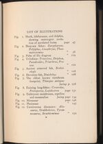 Thumbnail for File:Hbk.Lull.Ways of Life-5.jpg