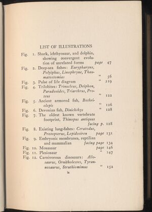 Hbk.Lull.Ways of Life-5.jpg