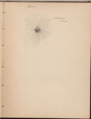 Hbk.Human Physiology and Histology-08.jpg