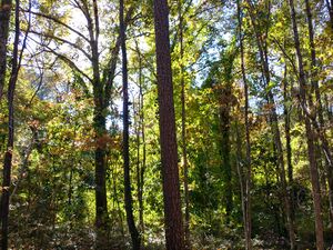 20221108 144818 HDR.jpg