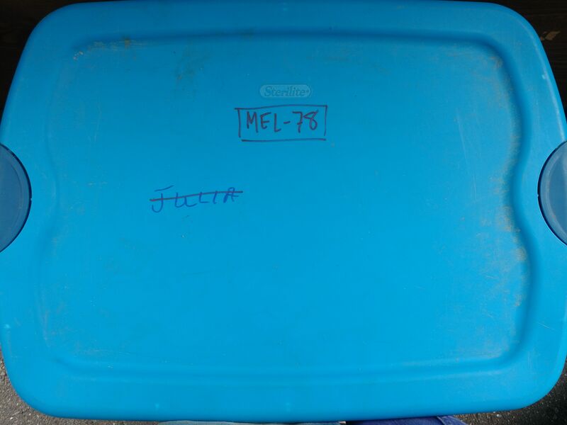 File:20250609 135636.jpg