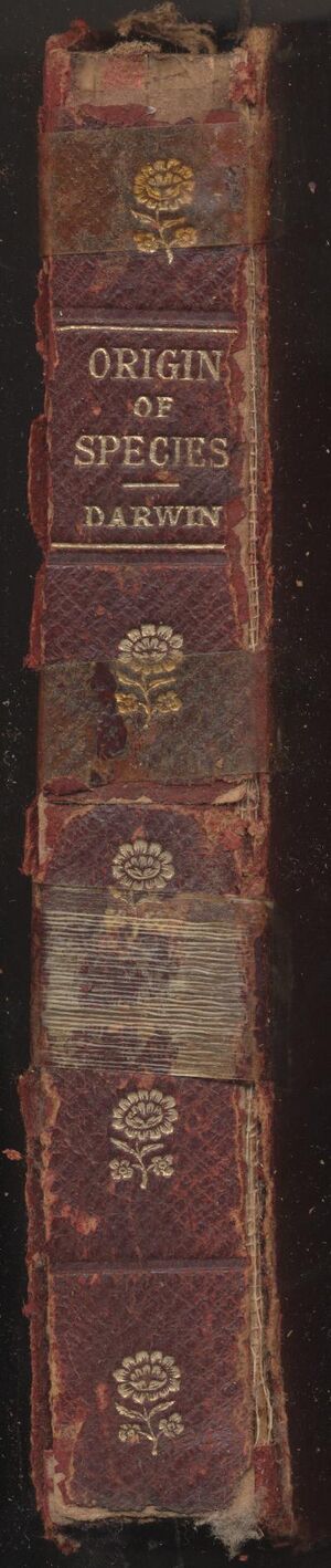 Hbk.Darwin.Origin of Species-2.jpg