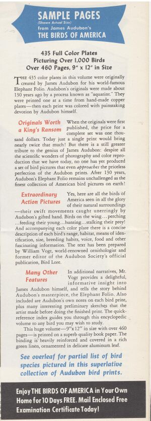 Flyer.Birds of America-5.jpg