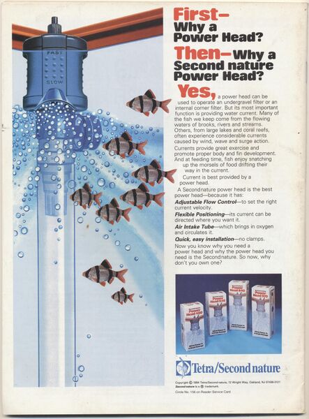 File:1995-10.Aquarium Fish-2.jpg