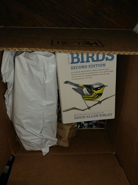 File:20250628 122101.jpg