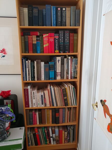 File:20250506 111500.jpg