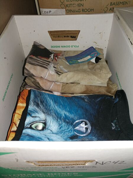 File:20250625 134930.jpg