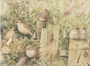 Pzl.springbok.Bastin.Garden Warblers-3.jpg