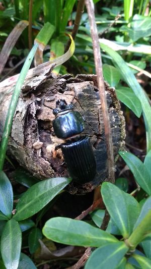 IMG 20170527 101950054.jpg