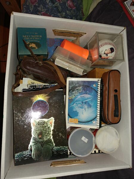 File:20250429 113103.jpg