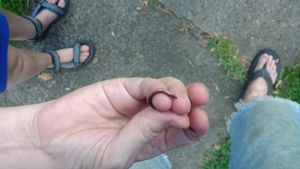 IMG 20170830 171015798.jpg