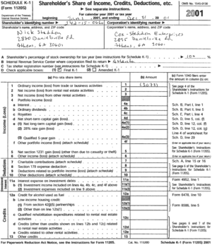 2001 Federal Taxes - Schedule K-1 page 1