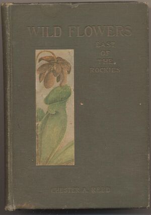 Hbk.Reed.Wild Flowers-1.jpg