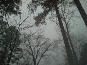 IMG 20150218 171647 164.jpg