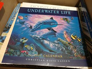 2001.calendar.Lassen underwater.20250628 133037.jpg
