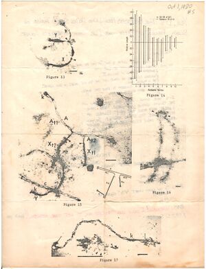 1980-10-01.W to J.005-2.jpg