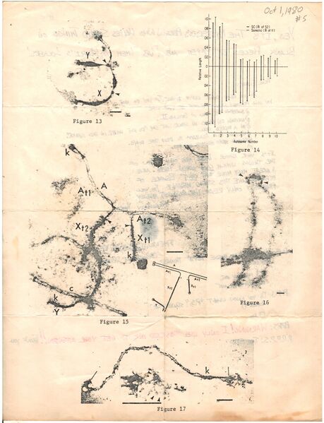 File:1980-10-01.W to J.005-2.jpg