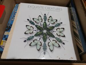 2015.calendar.creatures.20250628 133012.jpg