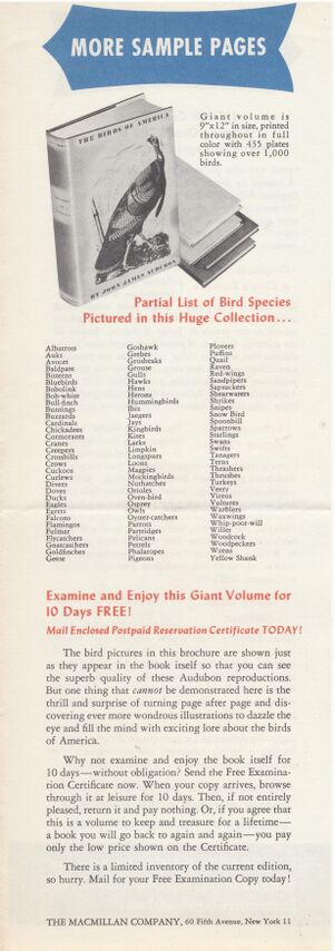 Flyer.Birds of America-6.jpg