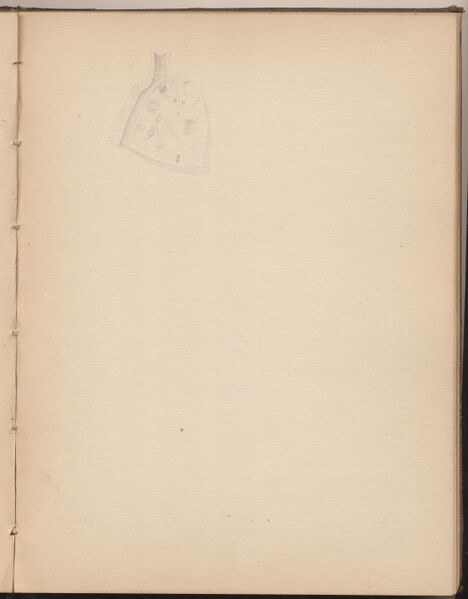 File:Hbk.Human Physiology and Histology-38.jpg