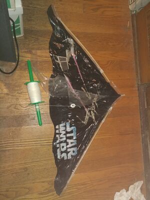 20251101 131831.Star Wars kite.jpg