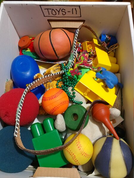 File:20250707 114839.jpg