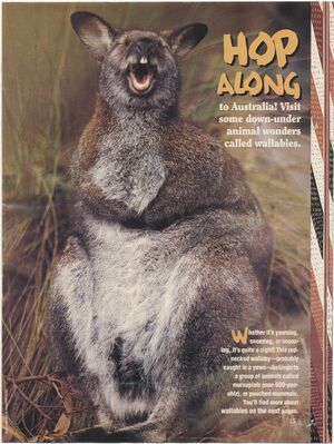 Poster.Hop Along-1.jpg