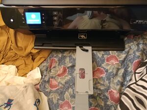 20250728 092312.PRN-003.jpg