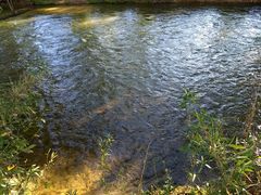 2018-10-05.17-12-41.fv5.Swannanoa River.jpg