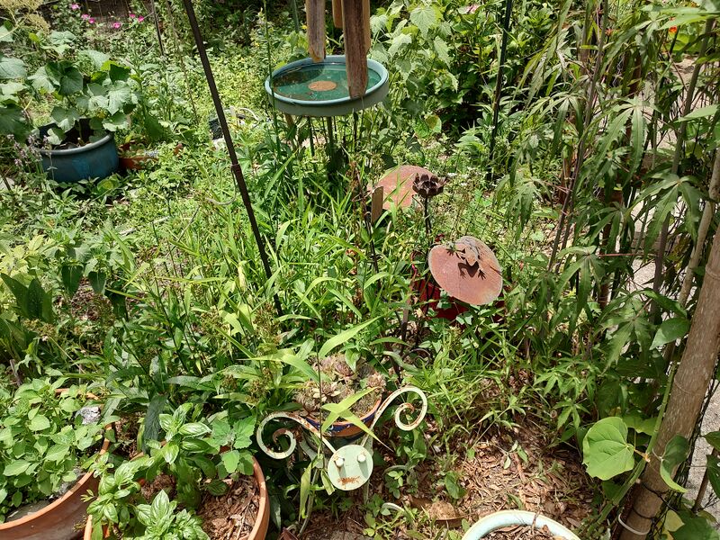 File:20260606 131708870 HDR.jpg