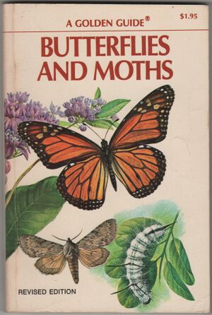 Pbk.Golden Guide.Butterflies and Moths-1.jpg