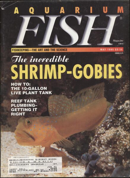 File:1995-05.Aquarium Fish-1.jpg