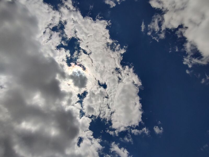 File:20260514 142119859 HDR.jpg