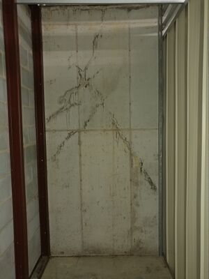 20251008 134115.MSU-1.jpg