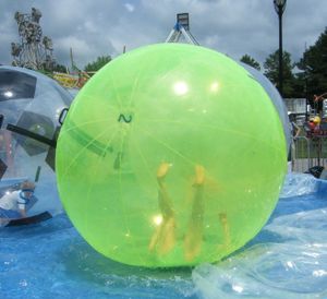 Ferret in a Green Sphere02.JPG