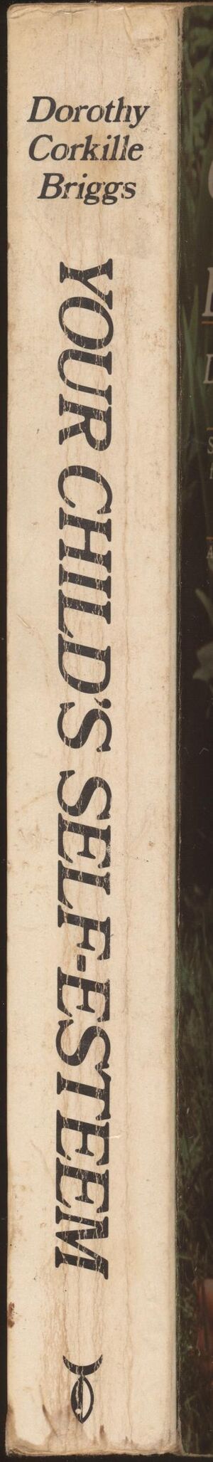 Briggs.Your Child's Self-Esteem-2.jpg