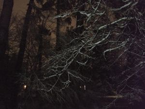 IMG 20200220 211840864.jpg