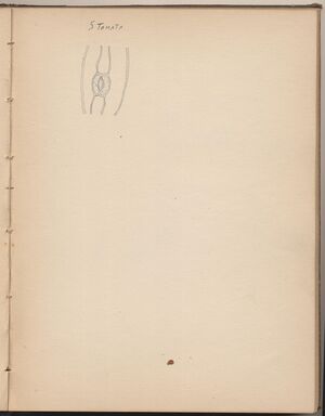 Hbk.Human Physiology and Histology-32.jpg