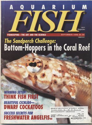 1996-09.Aquarium Fish-1.jpg