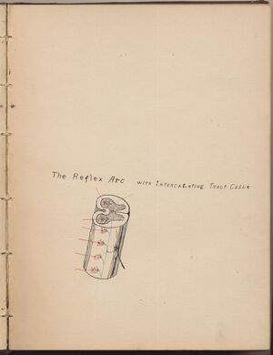 Hbk.Human Physiology and Histology-07.jpg