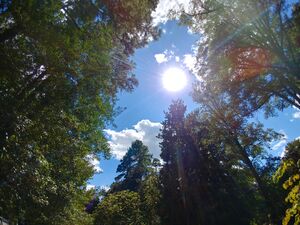 20250827 145135 HDR.jpg