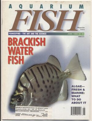 1994-06.Aquarium Fish-1.jpg