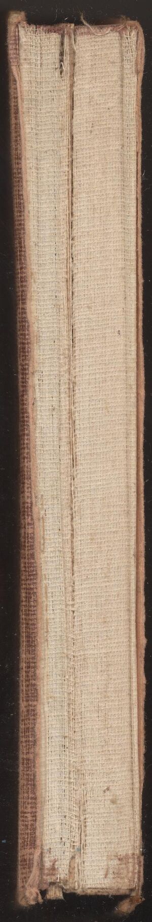 Book.Bee.Freshman Quarterback-2.jpg