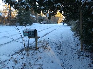 IMG 20220122 080253059 HDR.jpg