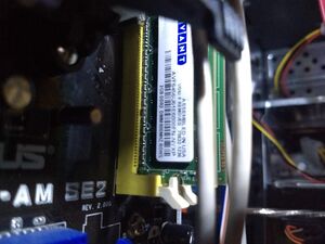 IMG 20210415 101432251 BURST000 COVER TOP.jpg