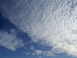 Clouds over 501.jpg
