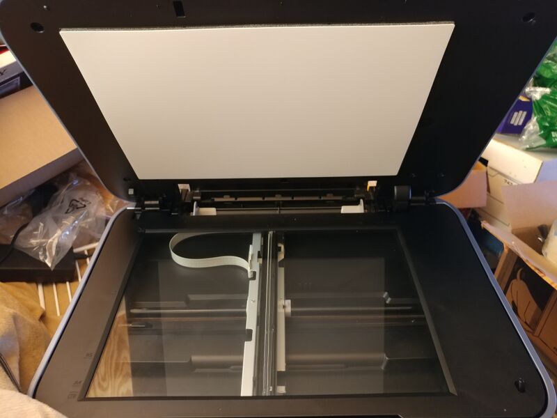 File:20250726 202058.jpg