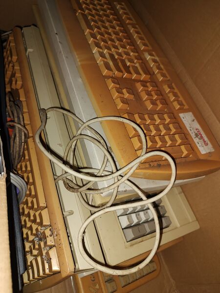 File:20260114 125253448.HT-017.jpg